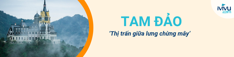 du lịch tam đảo ivivu 