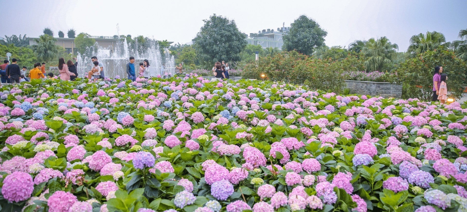 du lịch núi rừng