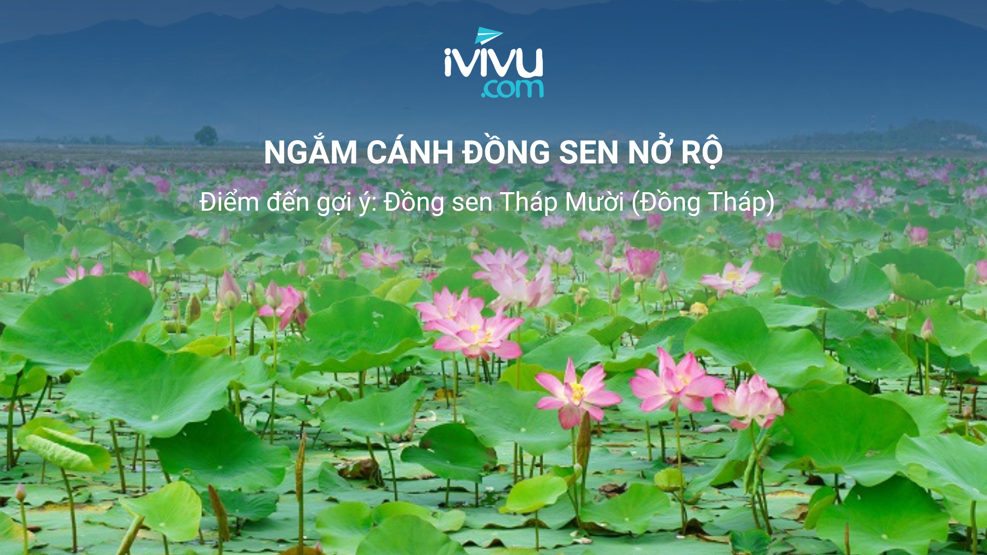 du lịch miền Tây tháng 7 ivivu