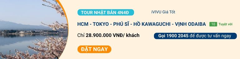 tour-nhat-ban-4n4d.jpg