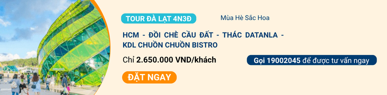 CTA-Blog-iVIVU.com-91.png