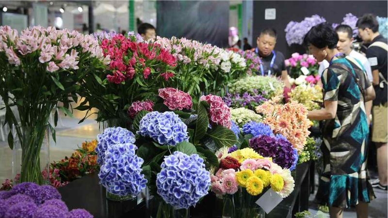 Nhiều khu chuyên biệt với mỗi khu lại mang đến các trải nghiệm khác nhau
