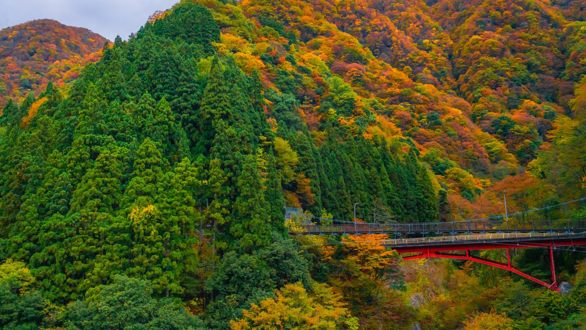 Đi tàu Kurobe Gorge ngắm nhìn khung cảnh ngoạn mục