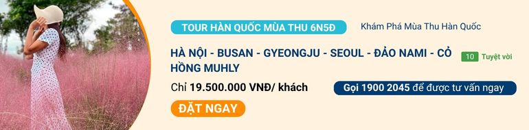 tour-han-quoc-mua-thu.jpg