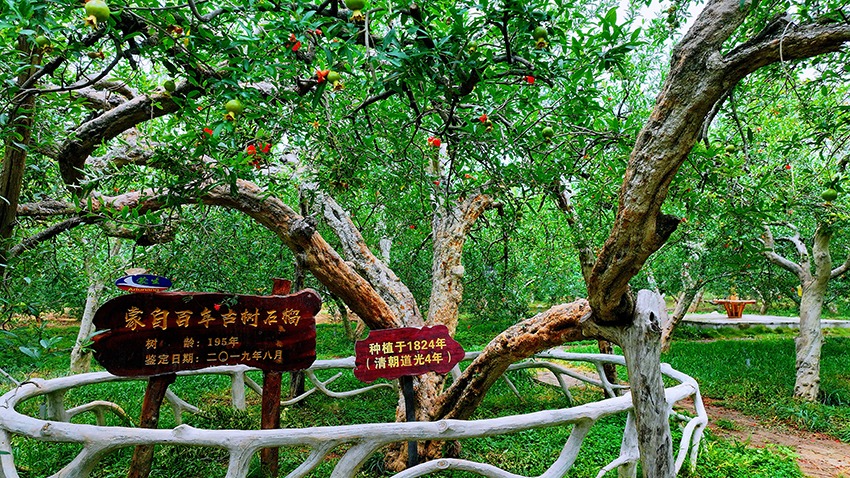 tour-trung-quoc-3n2d-ivivu-7.jpg