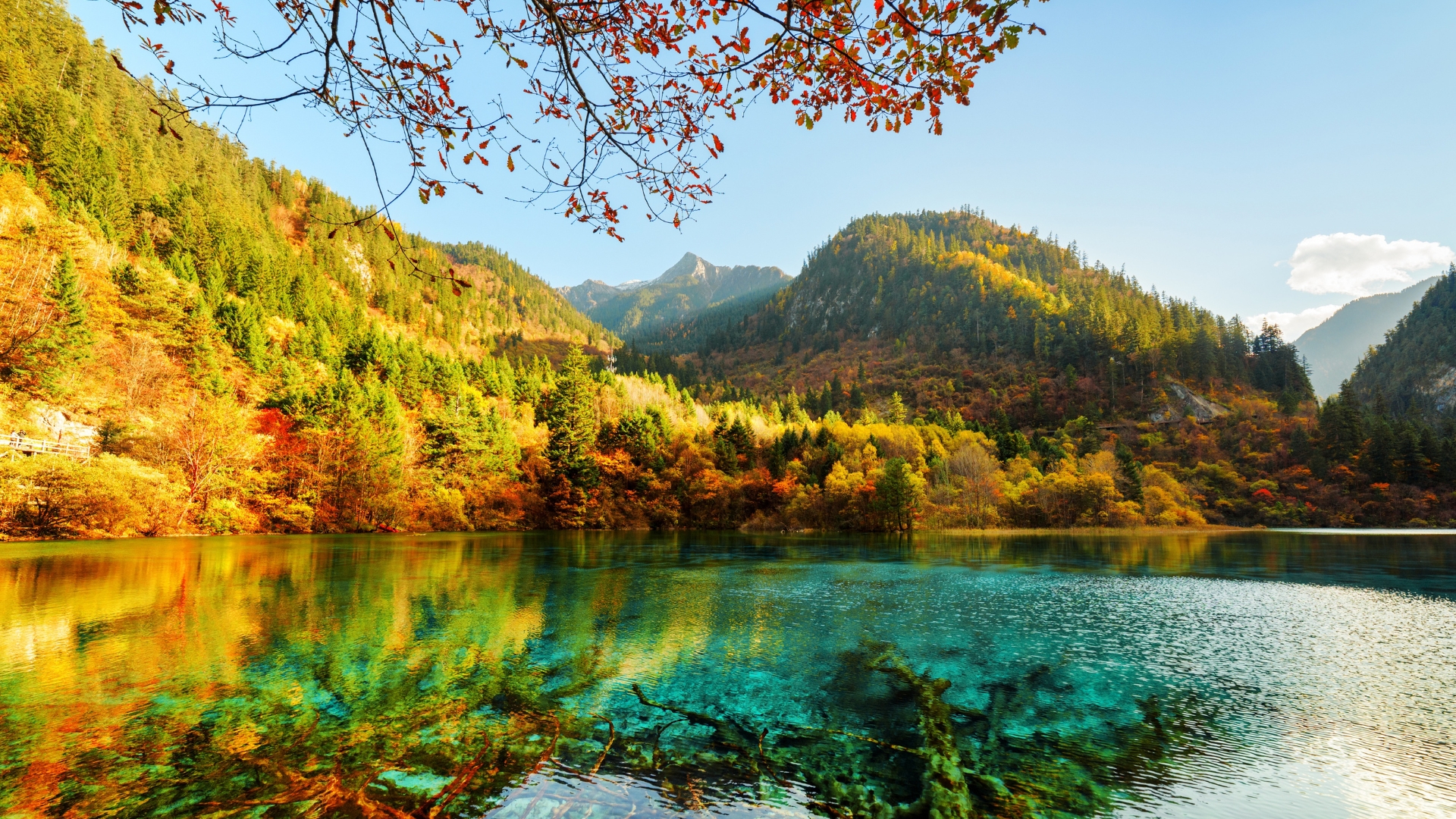hinh-blog-62.jpg