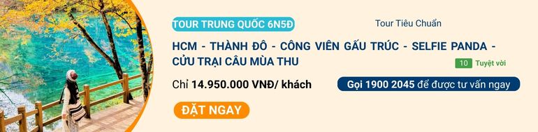 tour-cuu-trai-cau-6n5d.jpg