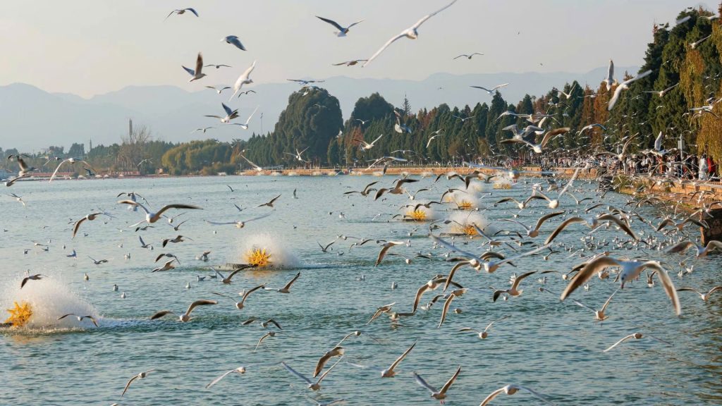 tour-trung-quoc-duong-bo-5n4d-ivivu-3-1024x576.jpg