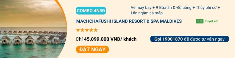 Machchafushi-Island-Resort-Spa-Maldives.jpg