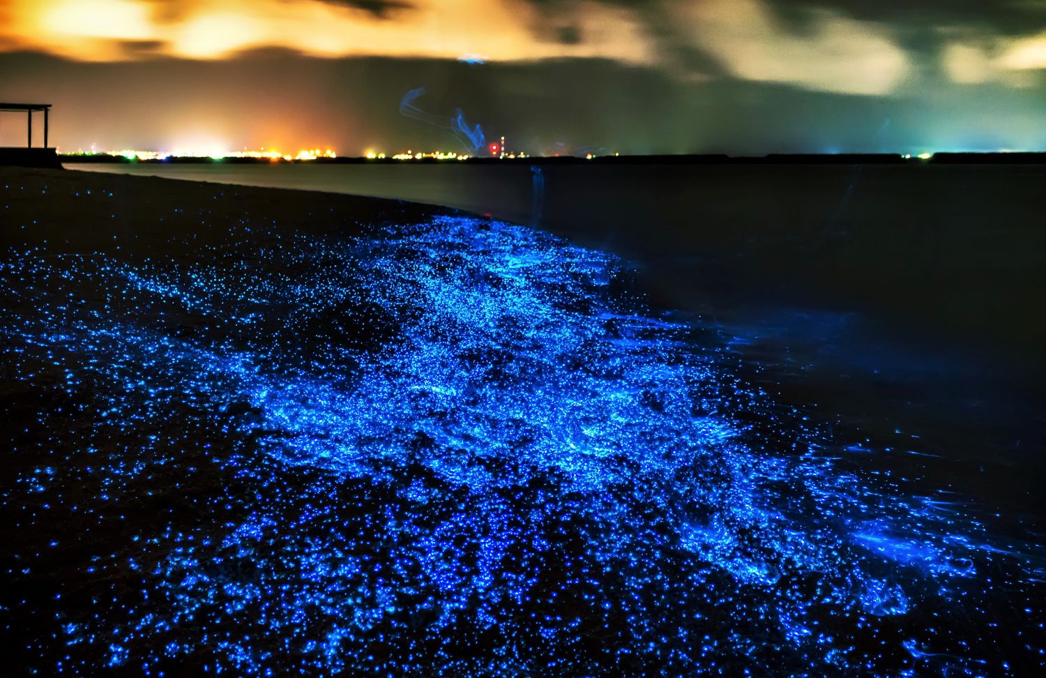 Sea-of-Stars-Vaadhoo-Island-Maldives-1.jpg