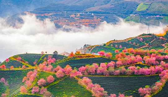 Du lịch Sa Pa: Cẩm nang từ A đến Z