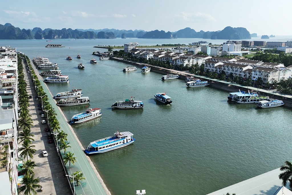 du thuyền hạ long