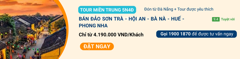 Ảnh trong bài