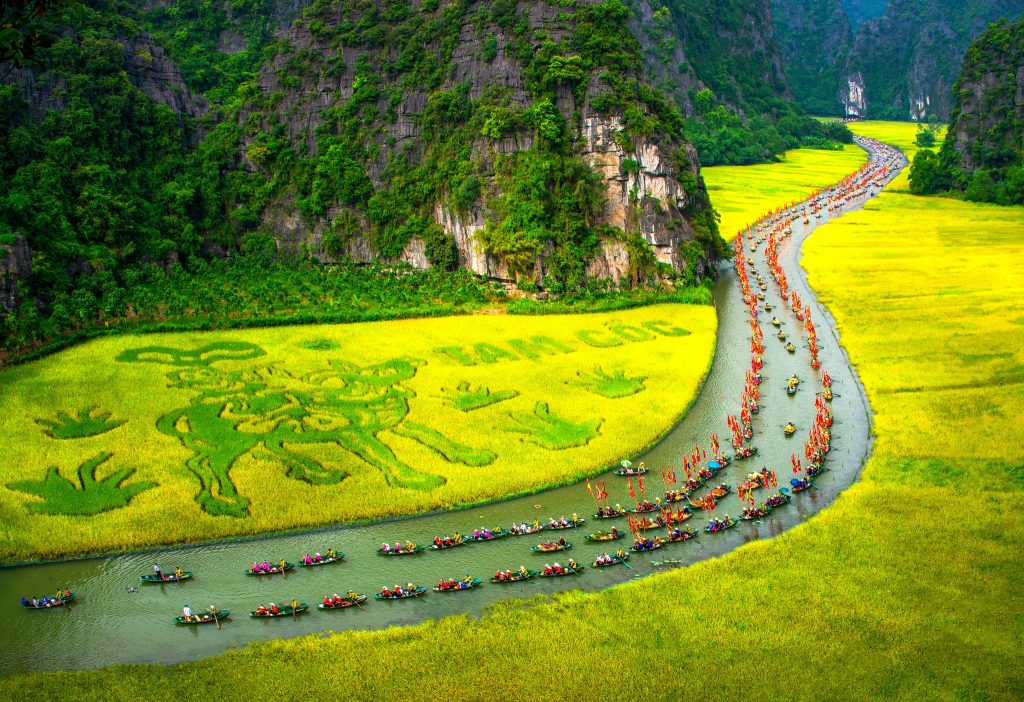 Mùa vàng Tam Cốc Ninh Bình nhìn từ trên cao — điểm đến thân thiện hạng 4 Việt Nam 2026 - nguồn từ iVIVU