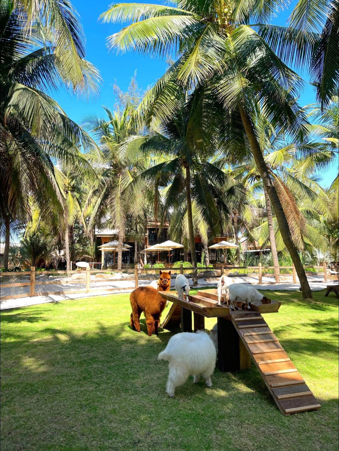Tiệm cà phê Hừng Đông