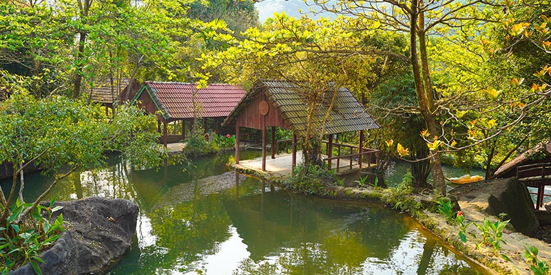 Thiên nhiên xanh mát tại Toom Sara