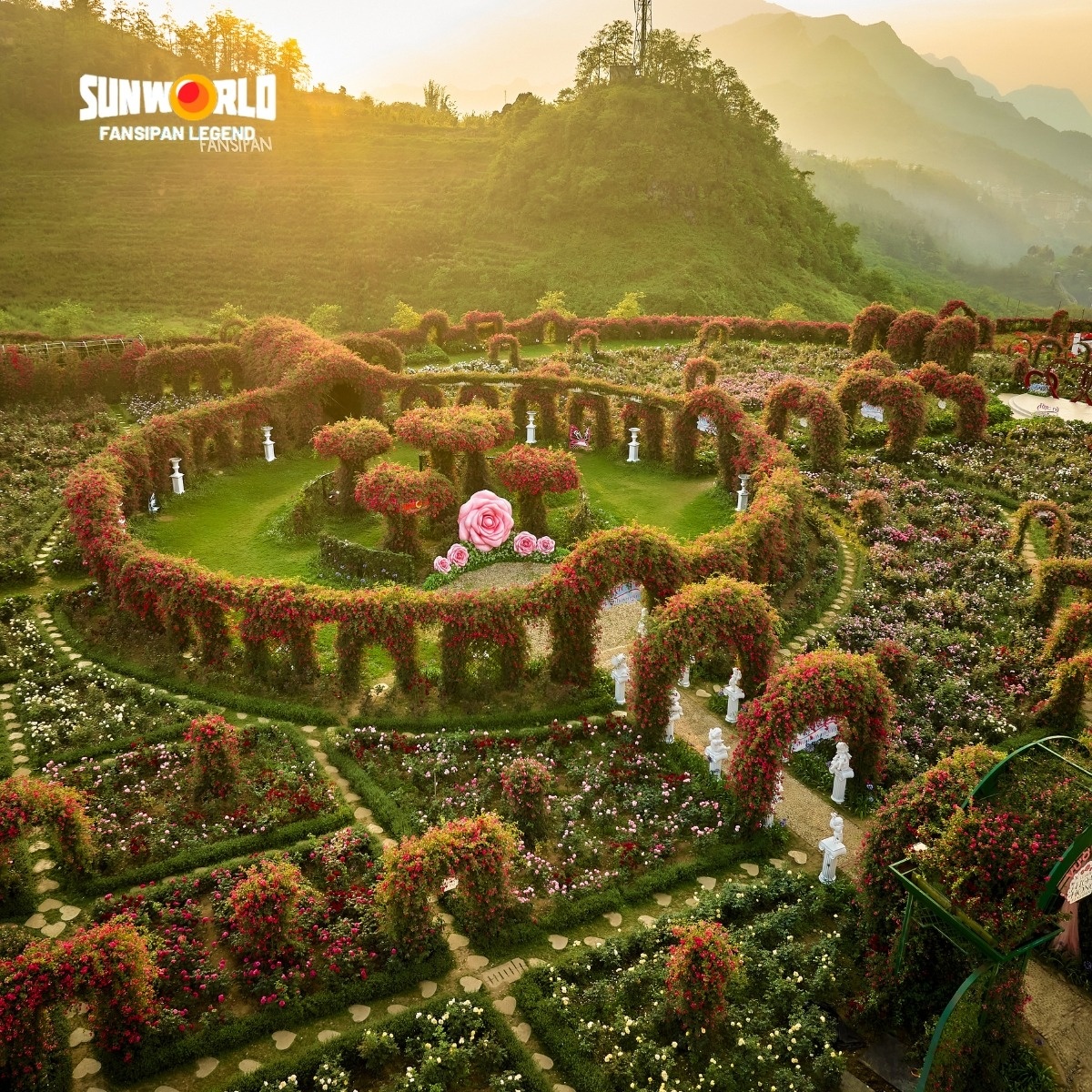 Thung lũng hoa hồng tại Sun World Fansipan Legend