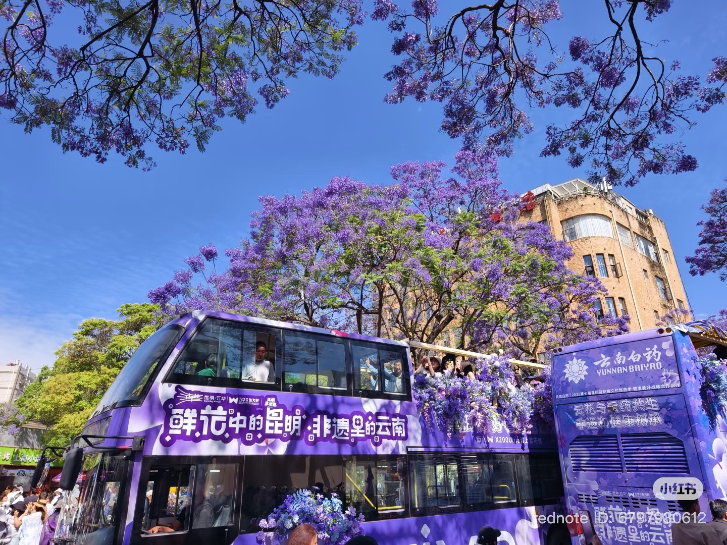 tour Côn Minh mùa phượng tím