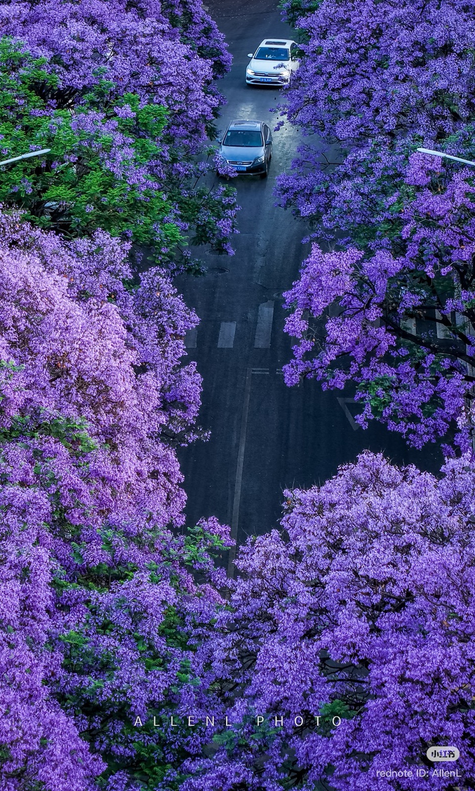 Côn Minh - thành phố mùa xuân