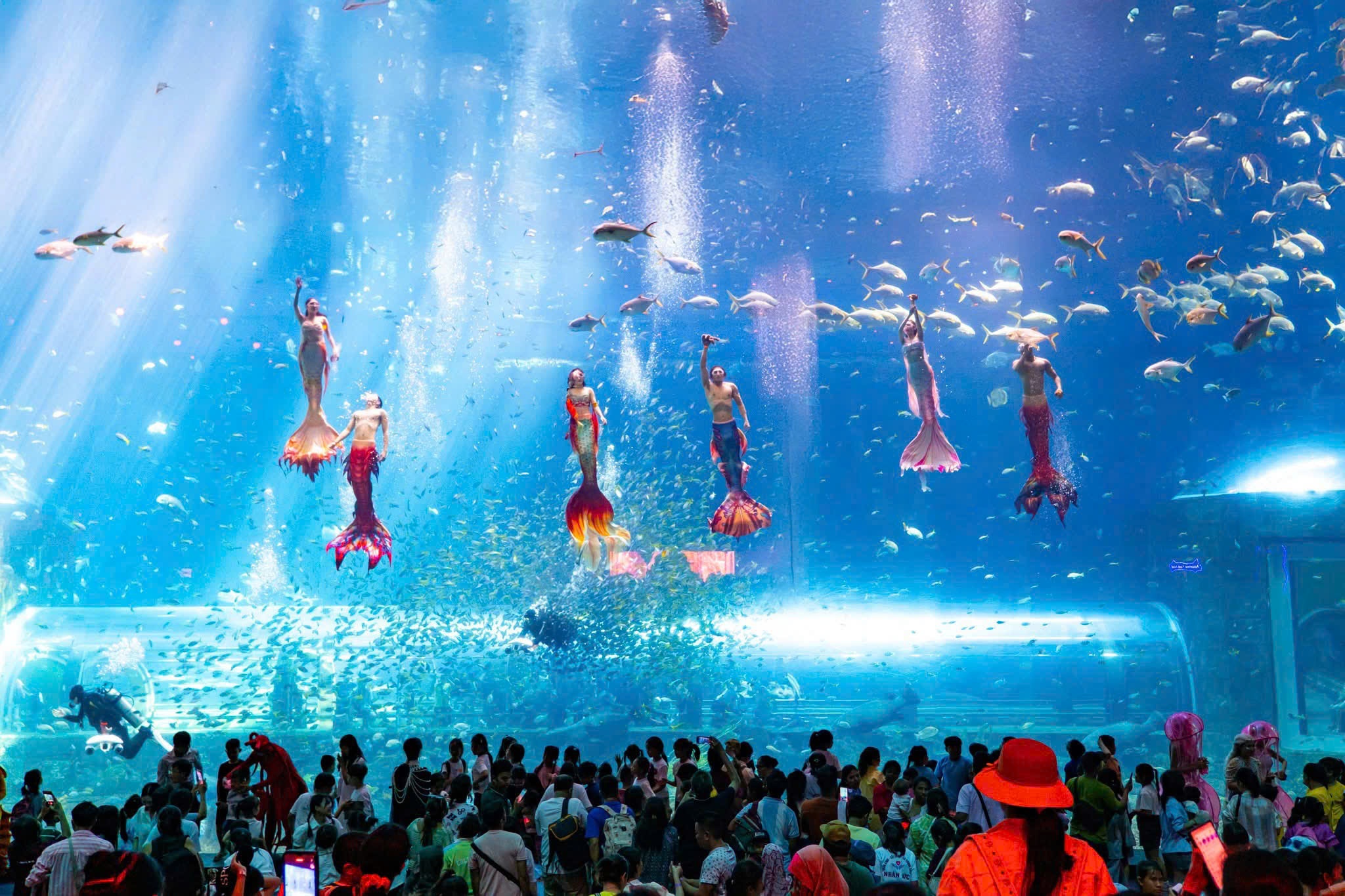 Show Nàng Tiên Cá tại thủy cung VinWonders Phú Quốc