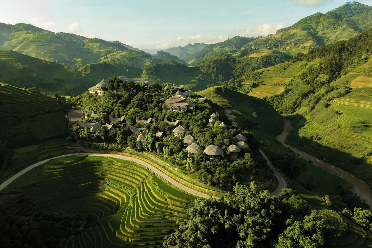 Garrya Mù Cang Chải Yên Bái
