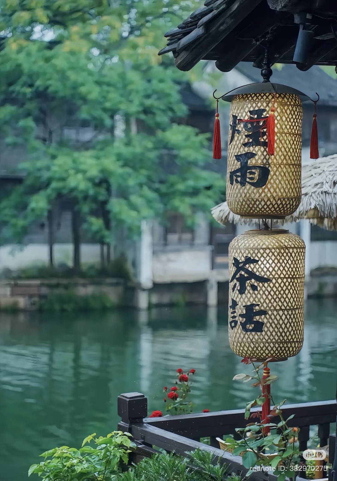 Wifi ở Ô Trấn