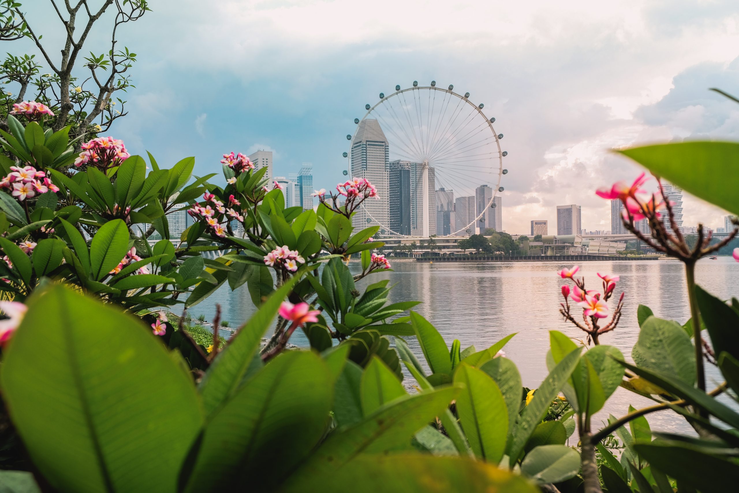 combo khách sạn Singapore