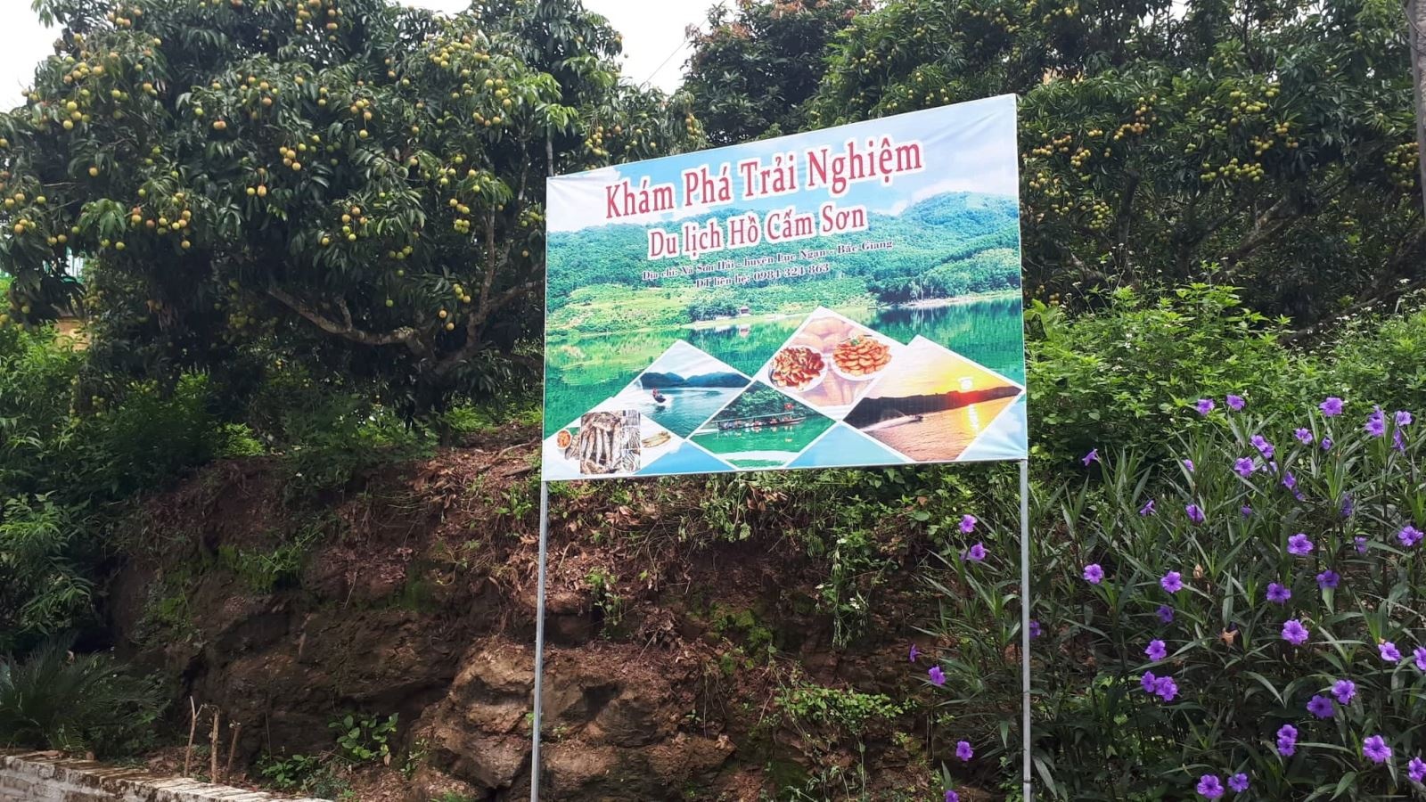 Biển hướng dẫn vào khu du lịch hồ Cấm Sơn