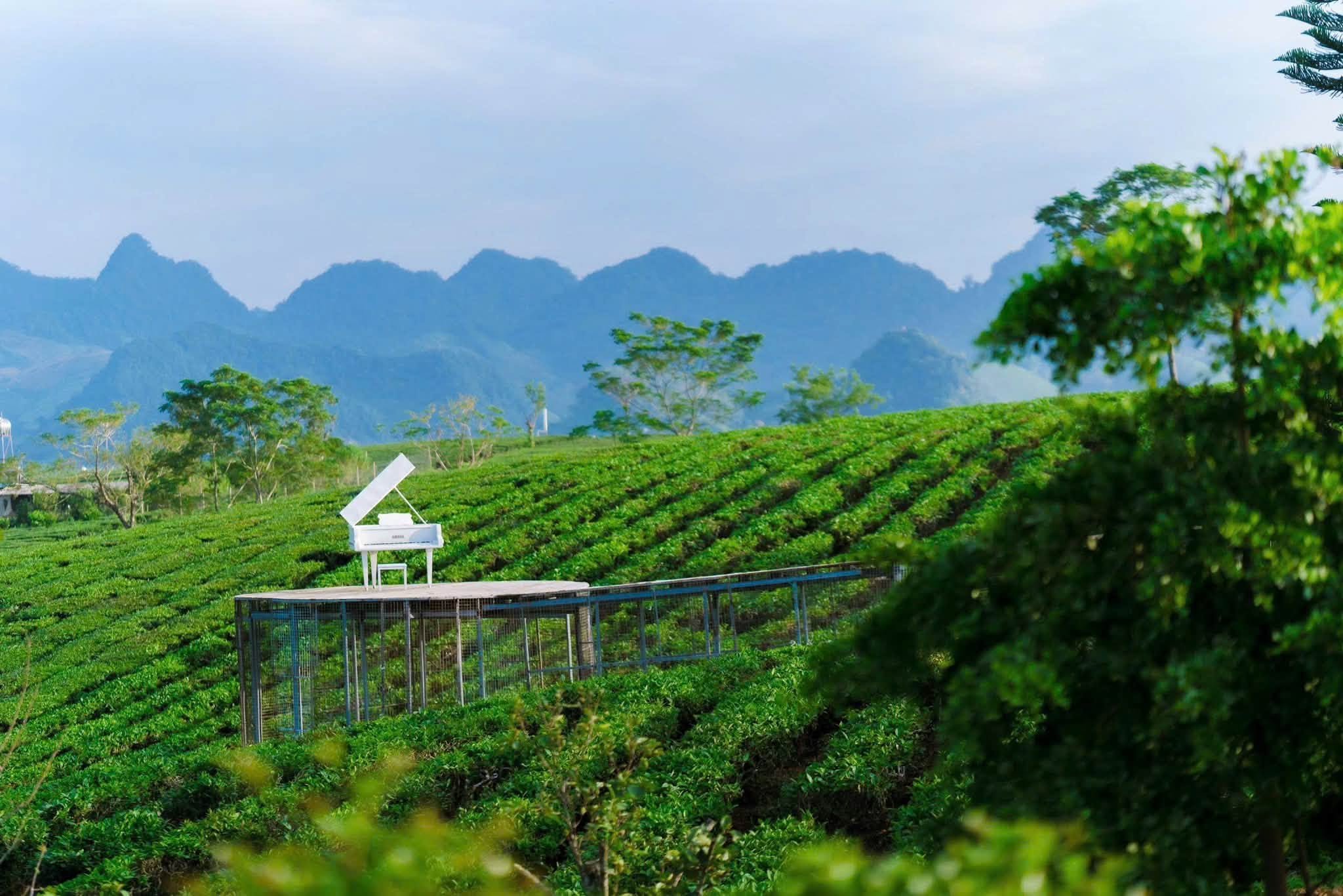 nông trại đẹp ở Mộc Châu